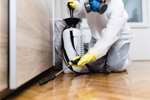 Best Wasp Removal Services  in Carrizo Springs, TX