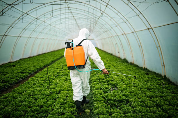 Best Residential Pest Control  in Carrizo Springs, TX