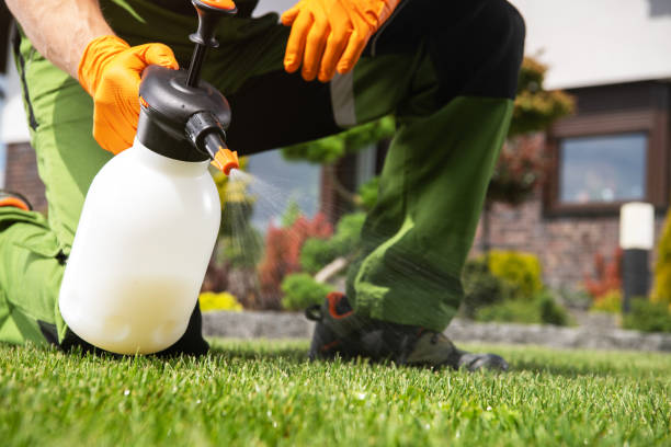 Best Affordable Pest Control Services  in Carrizo Springs, TX
