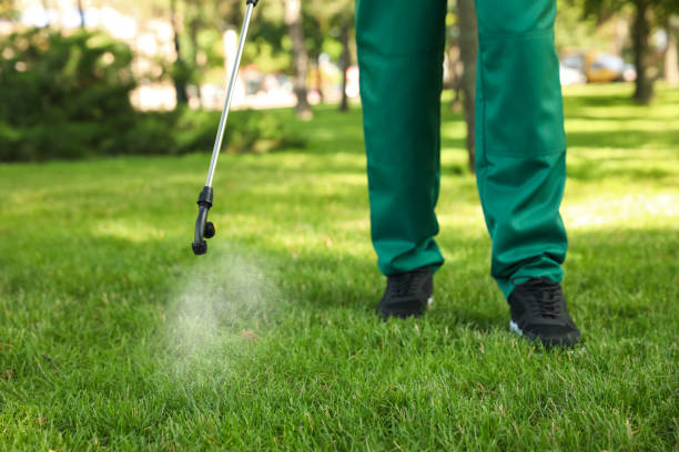 Best Pest Control for Homes  in Carrizo Springs, TX