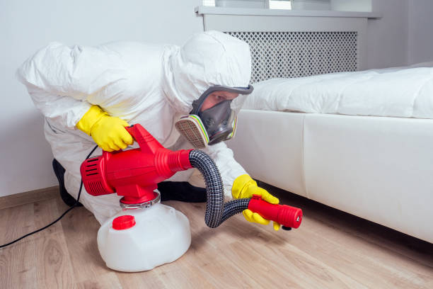 Best Pest Removal Services  in Carrizo Springs, TX
