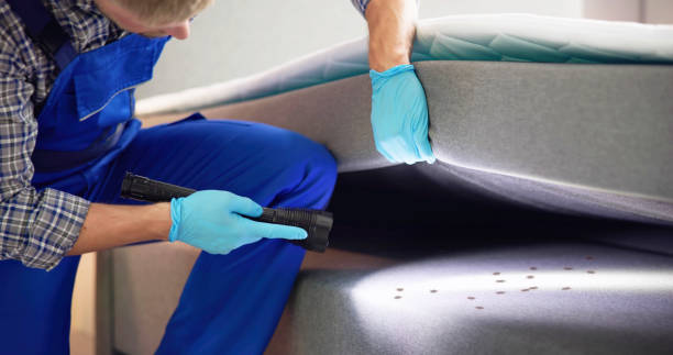 Best Affordable Pest Control Services  in Carrizo Springs, TX