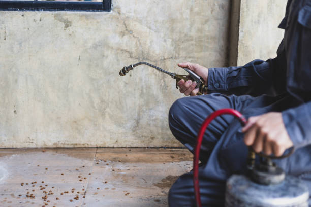Pest Control for Restaurants in Carrizo Springs, TX